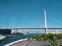 日本流量上網(wǎng)卡電話(huà)卡高速5G網(wǎng)絡(luò )sim卡手機卡10天無(wú)限量/天 曬單實(shí)拍圖
