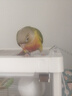 IGG鸚鵡高能滋養丸 飼料鳥(niǎo)糧1kg【61項檢測】虎皮玄鳳牡丹小太陽(yáng)和尚 曬單實(shí)拍圖