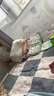 好奇（Huggies）小森林紙尿褲M50片(6-11kg)尿不濕心鉆【透氧頂配更低敏】 曬單實(shí)拍圖