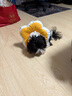 華元寵具（hoopet）貓咪伊麗莎白圈幼貓項圈寵物狗狗圈頸圈脖圈頭套犬恥辱圈防舔頭罩 曬單實(shí)拍圖