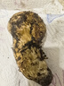 京地達云南昆明松茸菌菇凈重2斤單個7-9cm出口級源頭直發(fā)包郵 曬單實拍圖