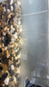 YEE魚(yú)缸金晶超白金魚(yú)裸缸8060家用客廳桌面小草缸龜缸玻璃生態(tài)溪流缸 【送上樓】50*27*30*5mm裸缸【新手愛(ài)選】 曬單實(shí)拍圖