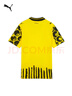 彪馬（PUMA）KIDSUPER聯(lián)名多特蒙德吸濕速干T恤男子球迷款球衣782741 黃色-黑色-02 L (180/100A) 曬單實(shí)拍圖