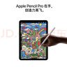 Apple/蘋(píng)果 iPad Air 11英寸 M3芯片2025年款 平板電腦 (128GB WLAN版)紫色 曬單實(shí)拍圖