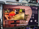 微星（MSI）27英寸2K280Hz QD-OLED顯示器 0.03ms(GTG) HDR400游戲電競顯示屏MAG 271QP QD-OLED X28流光X28 曬單實拍圖