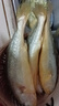 鴻順【冰鮮】黃花魚(yú)4條4斤 生鮮魚(yú)類(lèi) 寧德大黃魚(yú) 地標產(chǎn)品 源頭直發(fā) 曬單實(shí)拍圖