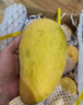 憶京源海南金煌芒水仙芒果 現摘特大果三亞直發(fā)甜心芒 新鮮當季孕婦水果 10斤精選果王【凈重9斤】 曬單實(shí)拍圖