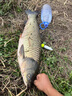 趣玲瓏新款浮釣草魚(yú)線組海竿手竿拋竿路亞草魚(yú)單鉤pe線一體立漂成品全套 5號(hào) 拋竿款(1米)日用版 曬單實(shí)拍圖