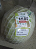 沈佳農有機蔬菜新鮮蔬菜沙拉健康無(wú)農藥輕食沙拉有機認證源頭直發(fā) 有機綠甘藍5斤 曬單實(shí)拍圖