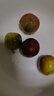 庾豐當季新鮮現摘脆紅李 新鮮水果整箱 孕婦脫骨青紅李子 團購送禮 5斤裝（凈果4.5斤）甄選果 顆顆甄選 產(chǎn)地直發(fā) 曬單實(shí)拍圖