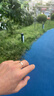 卡地亞（Cartier）戒指男女同款 3.6毫米寬LOVE結婚對戒情侶婚戒 B4085200 18K玫瑰金色 64 曬單實(shí)拍圖