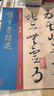 懷素墨跡選 唐代 草書(shū) 成人字帖 經(jīng)典碑帖放大本 曬單實(shí)拍圖