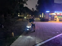 三全中式早餐半成品點(diǎn)心包子餛飩手抓餅速凍家庭早晚餐夜宵 豬肉灌湯小籠包268g(12只） 曬單實(shí)拍圖