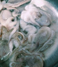 鴻順八爪魚(yú)1斤裝 去牙鮮活速凍小章魚(yú) 火鍋食材 生鮮凍品 曬單實(shí)拍圖