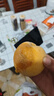三萌果蔬正宗蒙陰黃桃 山東當(dāng)季新鮮黃毛桃現(xiàn)摘桃子水果送禮 精選5斤裝【單果100g+】凈重4.5斤 曬單實(shí)拍圖