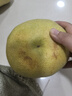山姆大叔泰國翡翠金柚進(jìn)口紅寶石青皮蜜柚子【多地次日達】新鮮水果整箱 S+級巨無(wú)霸果王【甜度爆表】 2粒裝【較劃算-實(shí)惠嘗鮮】3.5-4斤 曬單實(shí)拍圖