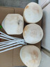 京鮮生海南椰青 6個(gè)裝(單果1100g+) 生鮮水果 源頭直發(fā) 曬單實(shí)拍圖