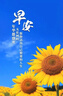 奇士美（kiss me）花盈美蔻盈美柔滑液體眼線(xiàn)筆升級版0.4ml曜石黑 (防水 不易暈染) 曬單實(shí)拍圖