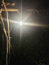 微笑鯊TypeC充電led燈泡停電應(yīng)急USB移動超亮可充電戶外夜市擺攤露營燈 高亮【COB-充電燈泡】露營/擺攤 超長續(xù)航+掛鉤設(shè)計+3檔調(diào)節(jié) 曬單實拍圖