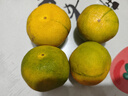 春福樂(lè ) 云南青皮蜜桔橘子【現摘現發(fā)】新鮮水果酸甜整箱新鮮孕婦水果 5斤【手挑精品果】?jì)?.5斤 曬單實(shí)拍圖