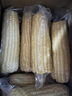 京鮮生東北白糯玉米250g*10棒 新鮮甜糯玉米棒真空包裝粘玉米 源頭直發(fā) 曬單實(shí)拍圖