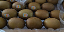 佳沛（zespri）新西蘭  陽(yáng)光金果10粒巨大果單果約144-175g 中秋水果禮盒 獼猴桃 曬單實(shí)拍圖