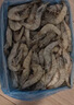 百年漁港白蝦大蝦 無(wú)冰凈重 2kg 白對(duì)蝦  加大號(hào)白蝦4斤 80-100只 曬單實(shí)拍圖