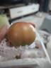 順豐丹東草莓柿子5斤西紅柿新鮮自然熟鐵皮柿子堿地生吃水果番茄 5斤 優(yōu)選裝  順豐 曬單實(shí)拍圖