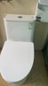 九牧（JOMOO）11173-2-1/31KD-3大力神家用馬桶虹吸抗菌節水潔具305坑距 曬單實(shí)拍圖