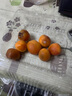 新疆吊干杏 核心產(chǎn)區 中小果 小紅杏 新鮮水果包郵爆甜現摘-山野 吊干杏1.6斤裝 曬單實(shí)拍圖