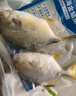 翔泰 海南金鯧魚(yú)凈重900g 2條裝  魚(yú)類(lèi)生鮮 燒烤 火鍋食材 海鮮水產(chǎn) 曬單實(shí)拍圖