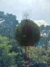 原始匠工八卦鏡凸鏡掛大門(mén)風(fēng)水純銅鏡子掛件陽(yáng)臺黃銅凸面鏡直徑15cm 曬單實(shí)拍圖
