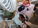 農(nóng)香森風(fēng)干雞胸肉干500g麻辣雞肉干休閑解饞小零食減低耐嚼卡脂即食 曬單實拍圖