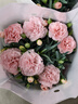 帶花苞發(fā)貨 · 康乃馨盆栽 · 陽(yáng)臺室內花卉盆栽辦公室鮮花綠植 粉色康乃馨【帶花苞】 曬單實(shí)拍圖