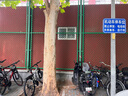 鳳凰（Phoenix）山地自行車成人學(xué)生兒童碟剎越野變速單車 ZB888 26英寸24速灰色 曬單實拍圖