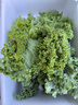【明星蔬菜】新鮮羽衣甘藍榨汁涼拌輕食蔬菜超市品質(zhì)直播間同款 2斤帶箱 曬單實(shí)拍圖