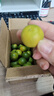 海南小金桔新鮮鮮果檸檬小青檸小青桔金橘場(chǎng)地直發(fā)現摘包郵 【250g】單果5-10g  小果嘗鮮裝 曬單實(shí)拍圖