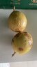 京鮮生欽蜜9號黃金百香果 3斤凈重70g+/15-21個(gè) 中秋禮品水果 源頭直發(fā) 曬單實(shí)拍圖