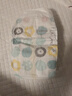 好奇（Huggies）小森林紙尿褲S62片(4-8kg)尿不濕心鉆【透氧頂配更低敏】 曬單實(shí)拍圖