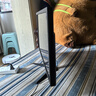 AOCPAD【超300萬玩家+購】24英寸顯示器22寸電腦屏幕高清2K180Hz辦公設(shè)計(jì)電競(jìng)游戲顯示屏筆記本可外接 24英寸【1K75HZ】窄邊框VGA+HDMI 曬單實(shí)拍圖