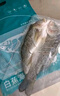 仙泉湖三去白蕉海鱸魚1斤/條凈膛冷凍刺少肉厚珠海特產(chǎn)500g生鮮中秋食材 曬單實拍圖