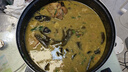 恩克內(nèi)蒙古羊肚包肉2斤+羊肉腸2斤 草原特產(chǎn)羊肉新鮮火鍋生鮮小吃食材 曬單實(shí)拍圖