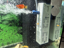 森森 小鯉魚(yú)缸過(guò)濾器凈水循環(huán)三合一內(nèi)置水族箱過(guò)濾系統(tǒng)XQP-500F 6W 曬單實(shí)拍圖