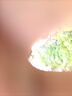 花沃里香菜種子約800粒 調(diào)味菜四季蔬菜種子大全陽臺(tái)盆栽/庭院田間種籽 曬單實(shí)拍圖