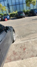 倍耐力靜音棉胎255/45R19 104Y PZERO-PZ4(NCS,ELT)(T0)(KS)原配MODELY 曬單實(shí)拍圖