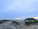 花沃里趕海工具6件套裝 鏟子挖沙工具鐵鍬耙子趕海夾子防水手套抄網(wǎng)水桶 曬單實(shí)拍圖