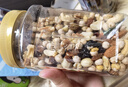 三只松鼠罐裝每日堅果500g 干果核桃腰果葡萄干休閑零食 團購送禮 曬單實(shí)拍圖