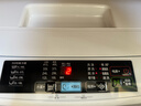 海爾（Haier）波輪洗衣機全自動(dòng)6.5KG 節能省水+小型不占地+租房神器+智能漂洗+桶自潔+澎湃動(dòng)力EB65M019 曬單實(shí)拍圖
