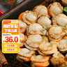 初鮮大號冷凍帶黃扇貝肉凈重2斤約80-120顆燒烤火鍋食材海鮮水產(chǎn)中秋 曬單實(shí)拍圖