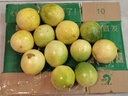廣西欽蜜9號黃金百香果萬(wàn)澄當季新鮮大果黃皮果奶茶店水果 【1斤 約11-17個(gè)】單果30-45g 曬單實(shí)拍圖